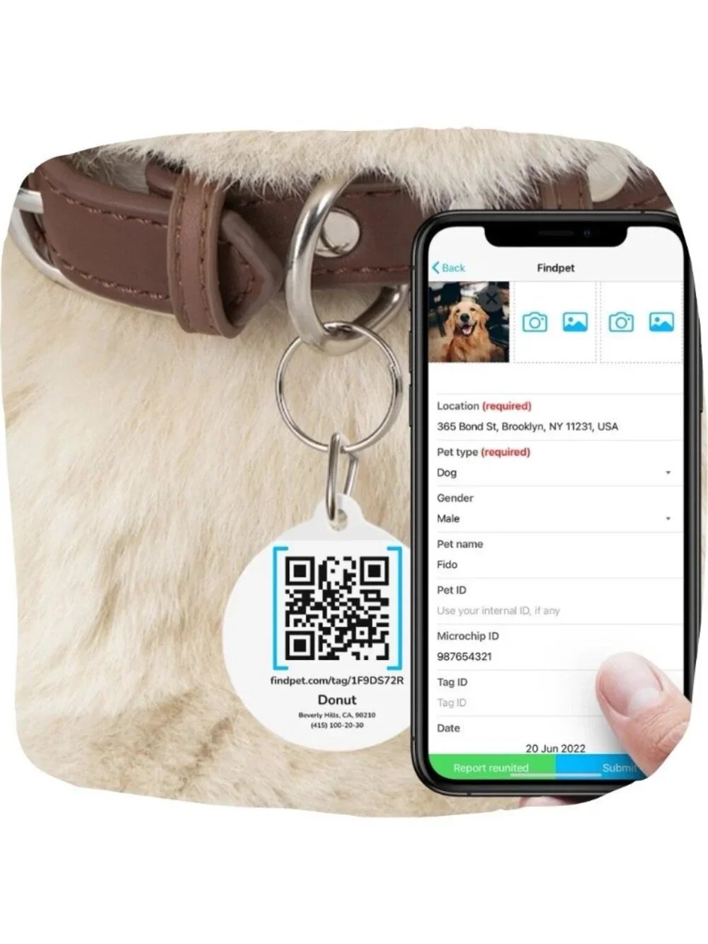 FindPet Wireless Locator Air Tag Comfort ID Collar Small Dog Track Scan Your Pet